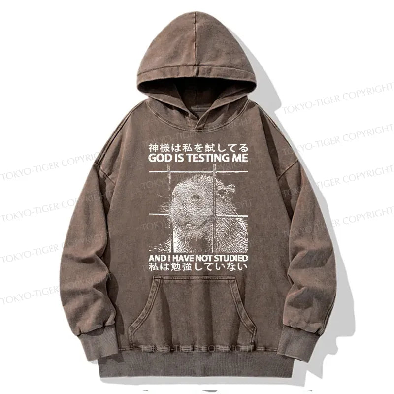 Kyoto-Lion God Is Testing Me Washed Hoodie