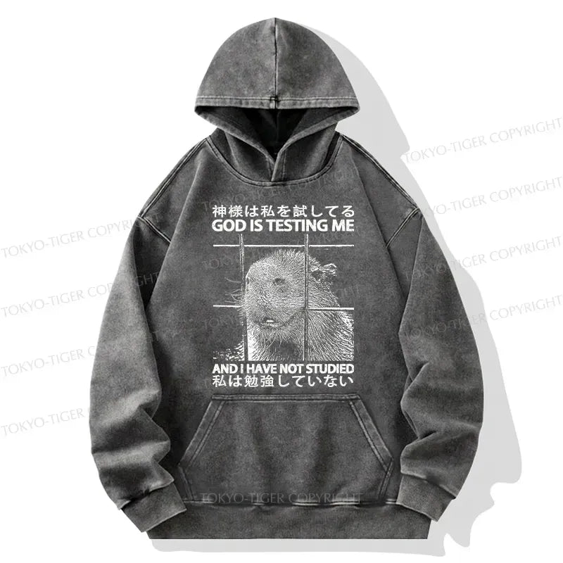 Kyoto-Lion God Is Testing Me Washed Hoodie