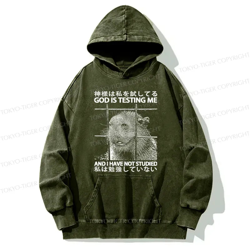 Kyoto-Lion God Is Testing Me Washed Hoodie