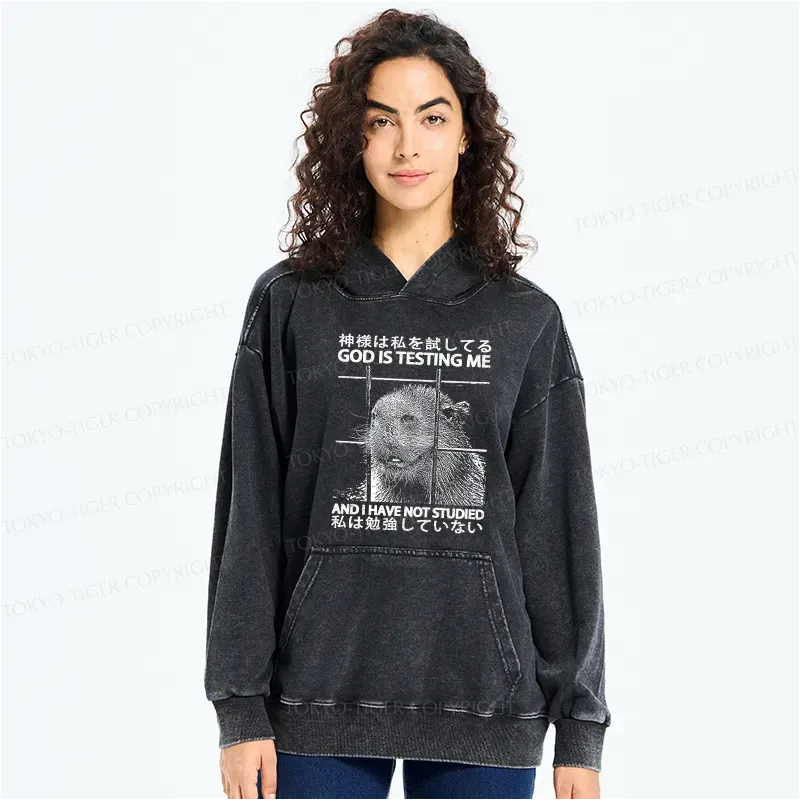 Kyoto Lion God Hoodie Gift for Him