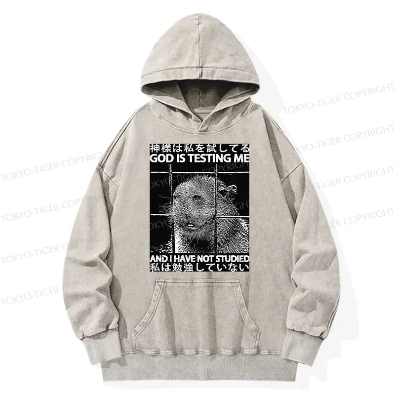Washed Unisex Hoodie for Daily Wear