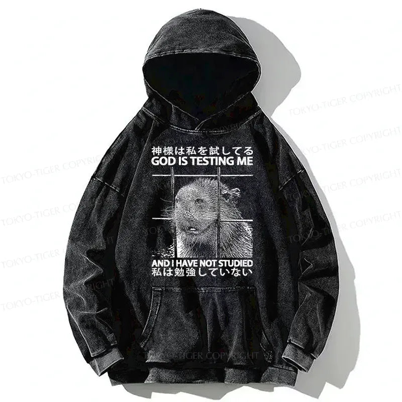 Kyoto-Lion God Is Testing Me Washed Hoodie