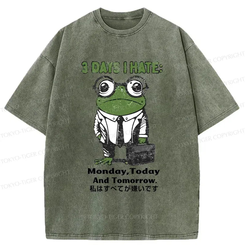 Japanese Frog Washed T-Shirt for Gift