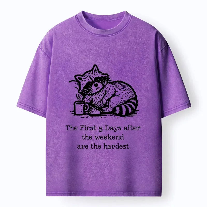 Japanese washed t-shirt for daily wear