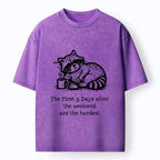 Japanese washed t-shirt for daily wear
