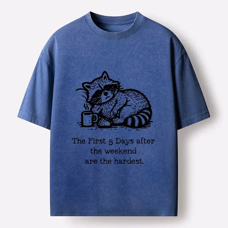 Japanese washed t-shirt for daily wear
