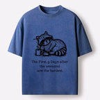 Japanese washed t-shirt for daily wear