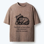Japanese washed t-shirt for daily wear