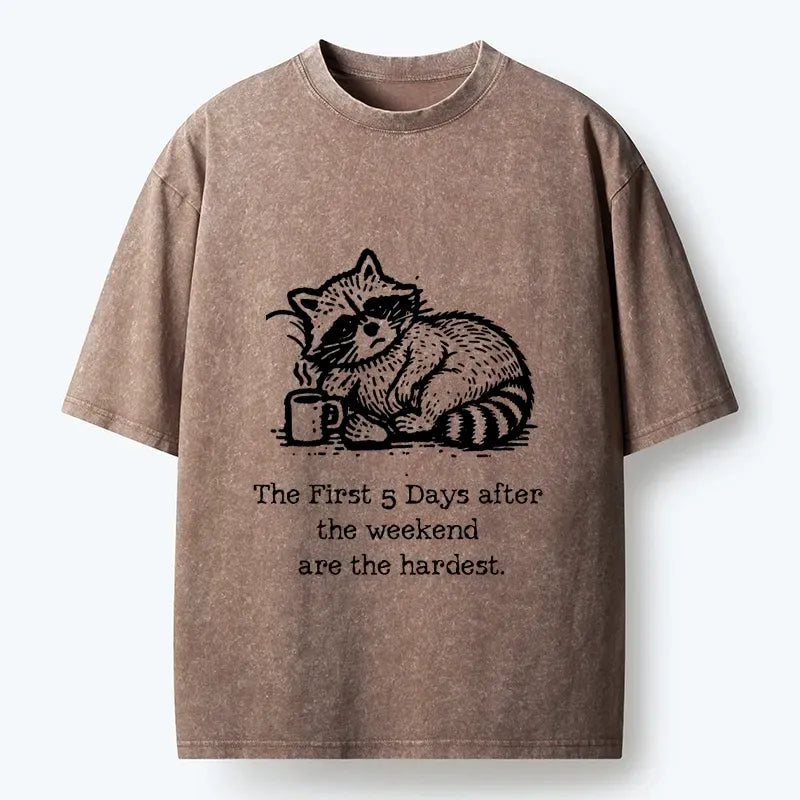 Japanese washed t-shirt for daily wear