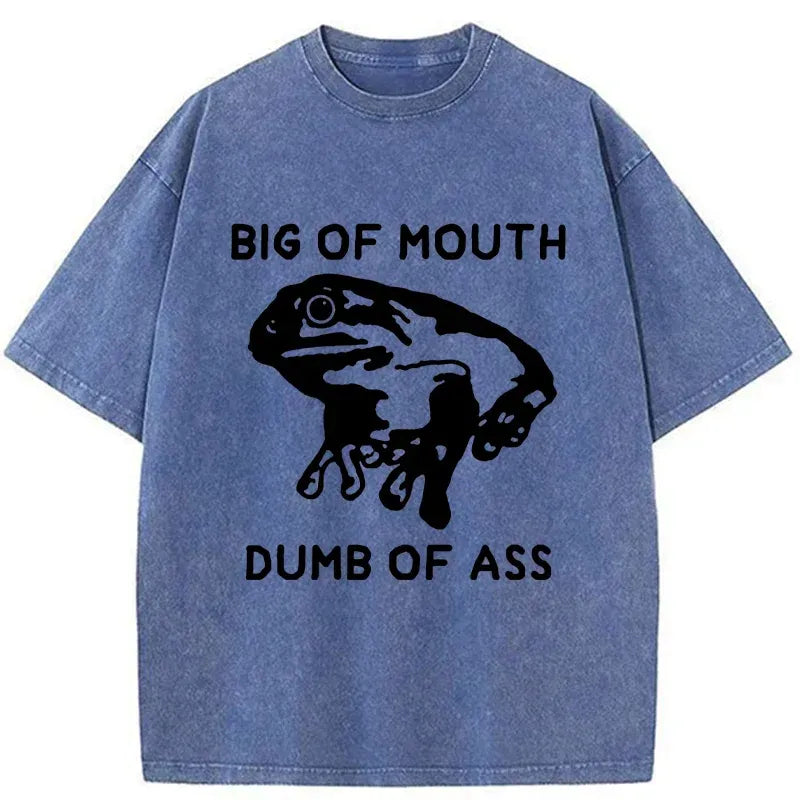 Kyoto-Lion Big-mouthed Frog Washed T-Shirt Gift Idea