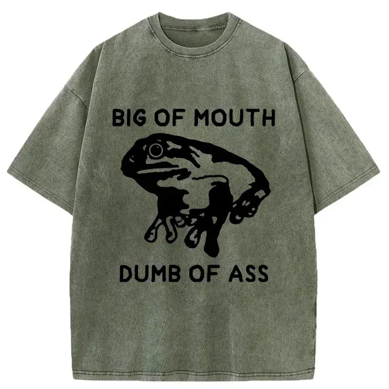 Kyoto-Lion Big-mouthed Frog Washed T-Shirt Gift Idea