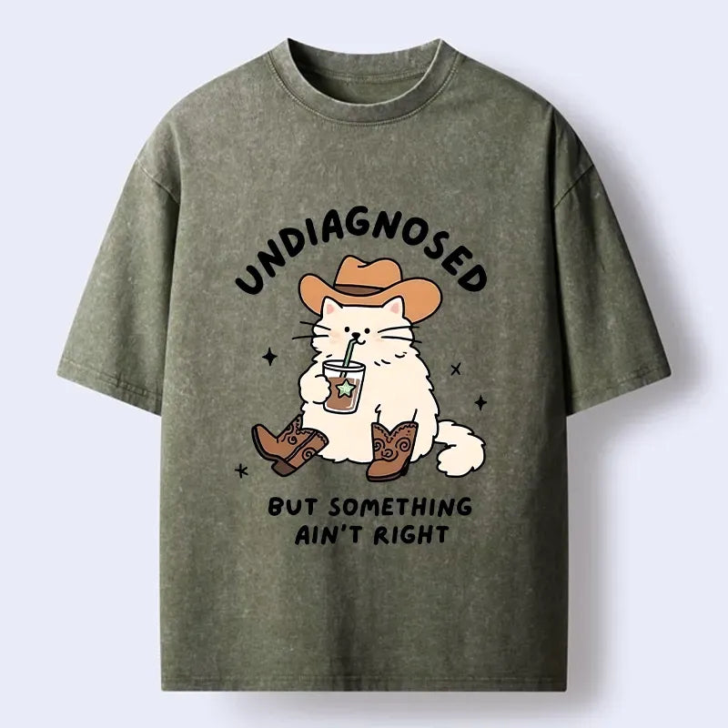 Kyoto-Lion Cowboy Cat Meme Washed T-Shirt