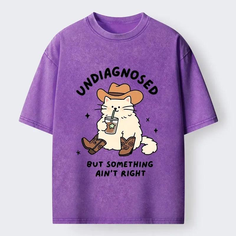 Kyoto-Lion Cowboy Cat Meme Washed T-Shirt