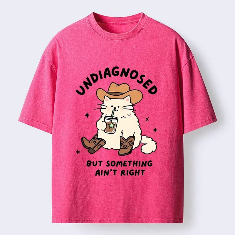 Kyoto-Lion Cowboy Cat Meme Washed T-Shirt