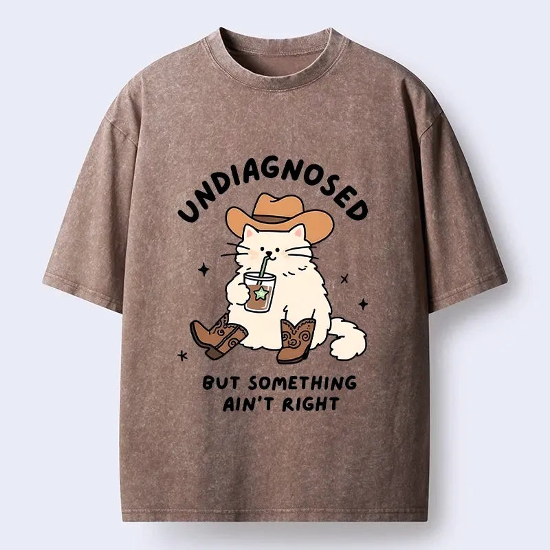 Kyoto-Lion Cowboy Cat Meme Washed T-Shirt