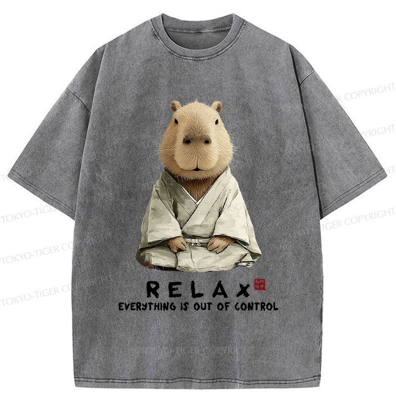 Zen capybara t-shirt gift for him