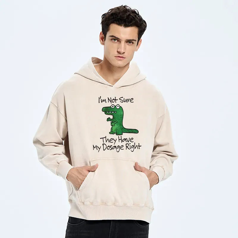 sarcastic meme dinosaur hoodie for daily wear