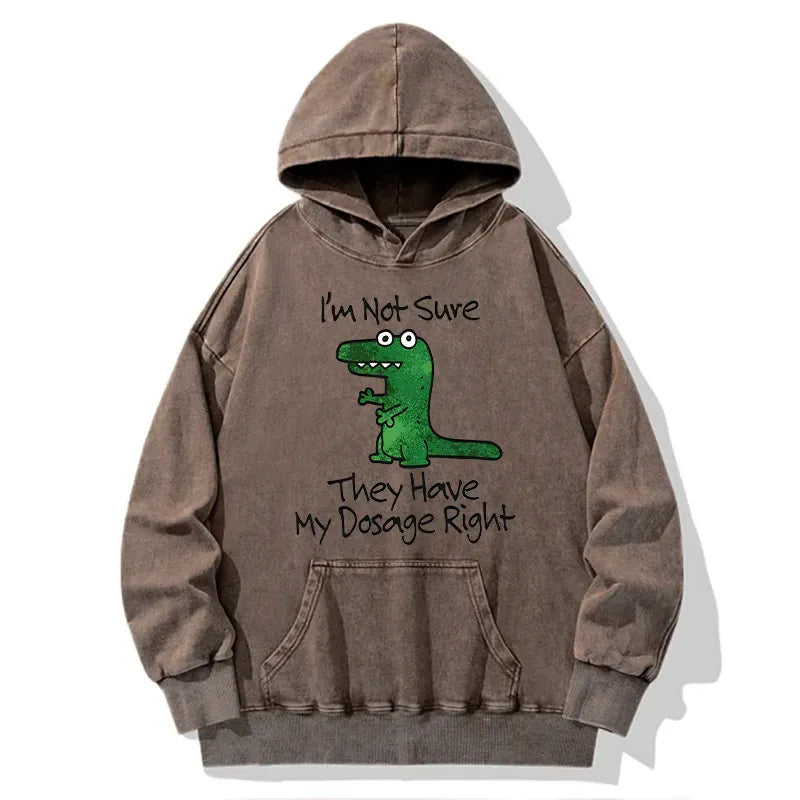 Kyoto-Lion Dinosaur Meme Sarcastic Ironic Washed Hoodie