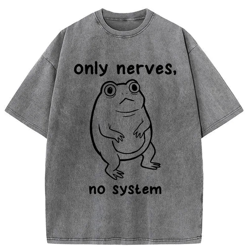 Kyoto-Lion No System Frog Meme Washed T-Shirt