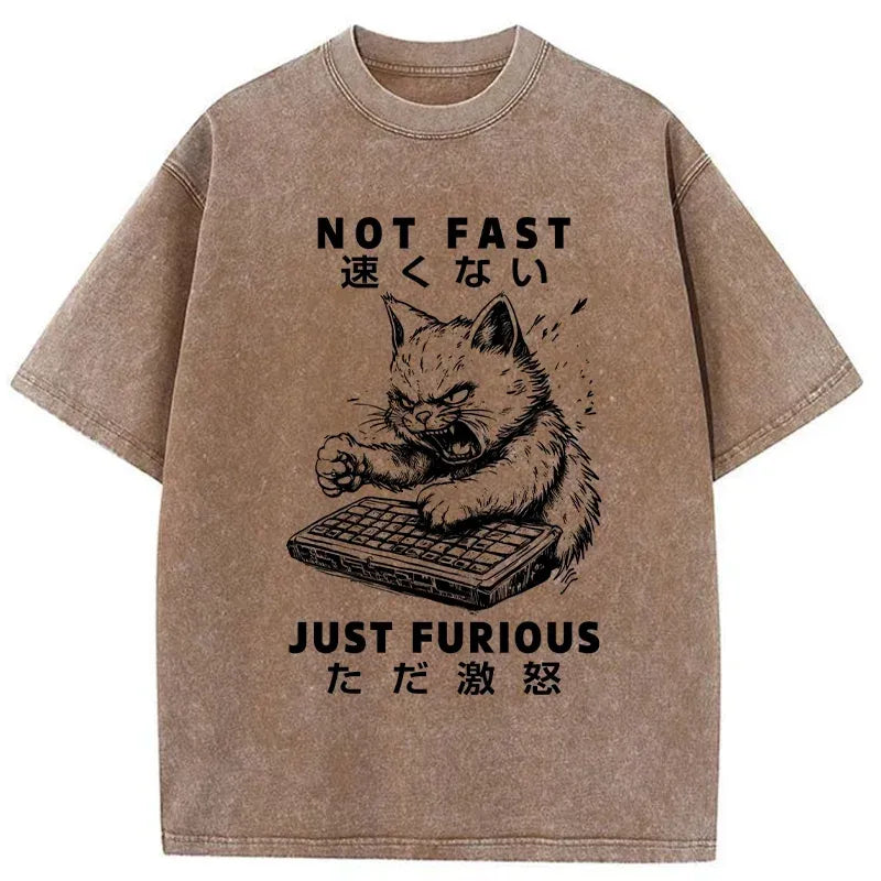 Kyoto-Lion Not Fast Just Furious Washed T-Shirt