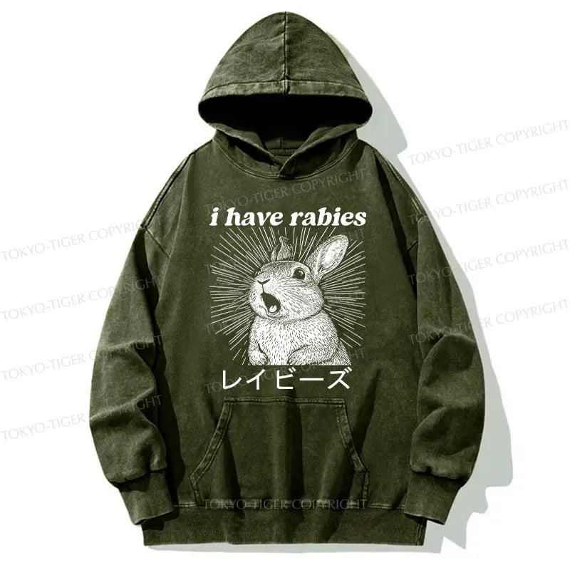 Vintage Kyoto Lion Hoodie on Sale