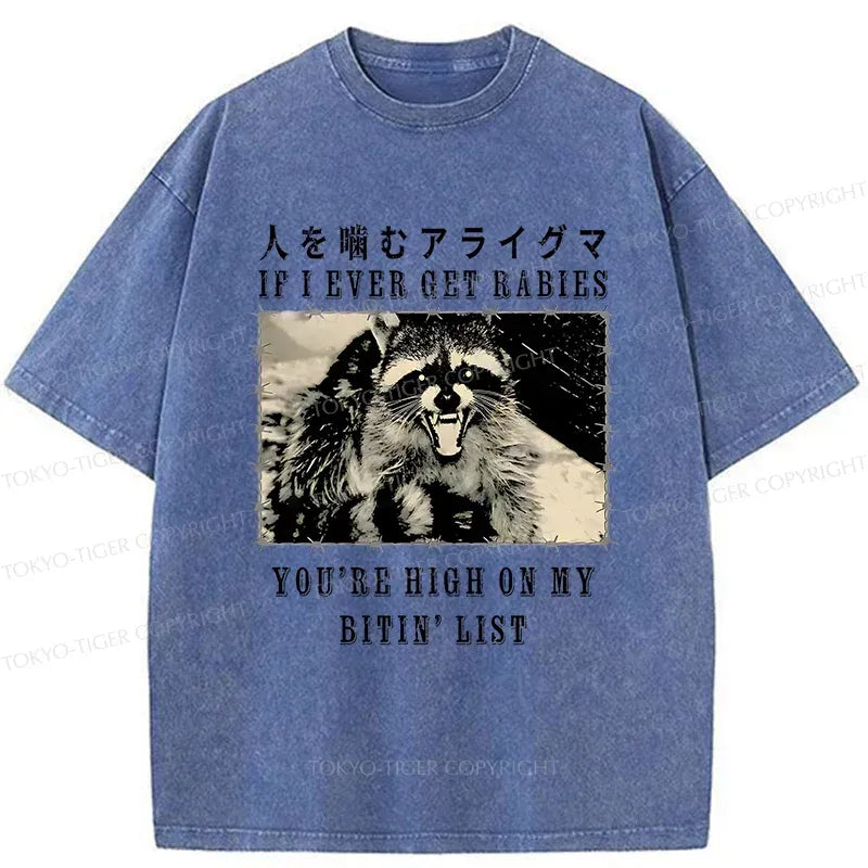 Kyoto Japan Streetwear T-Shirt Free Shipping