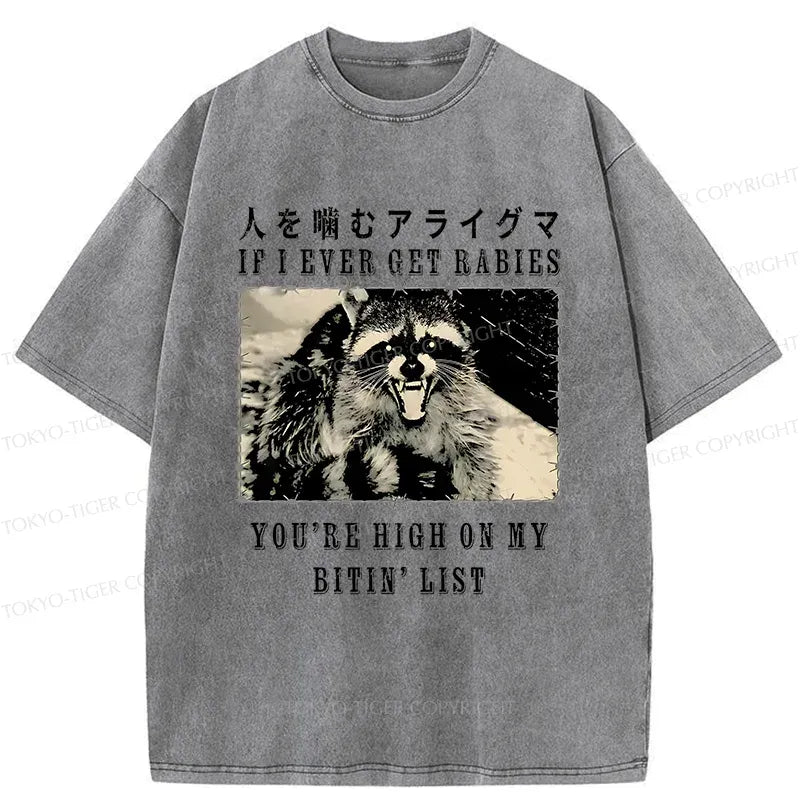 Kyoto Japan Streetwear T-Shirt Free Shipping