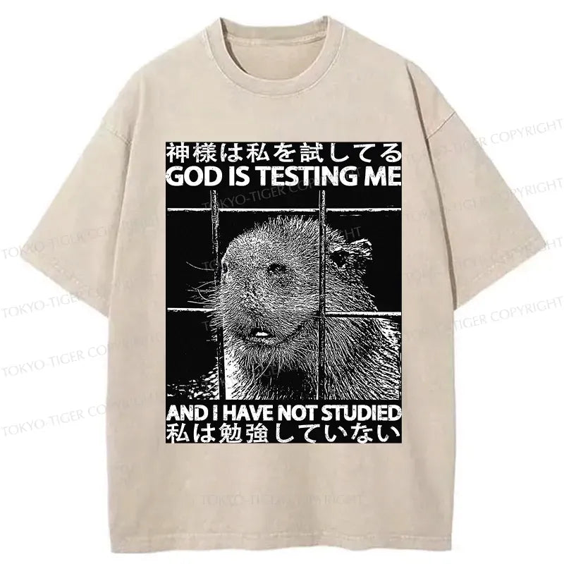 Kyoto-Lion God Is Testing Me Washed T-Shirt
