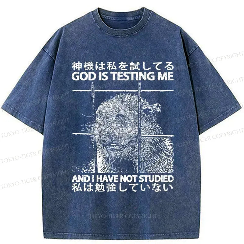unisex cotton t-shirt for daily wear