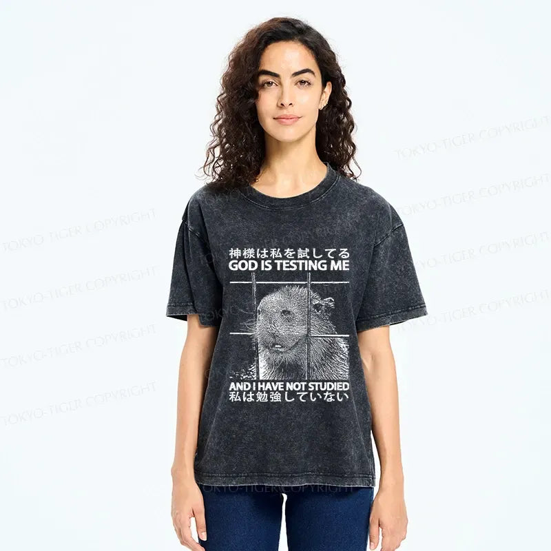 unisex cotton t-shirt for daily wear