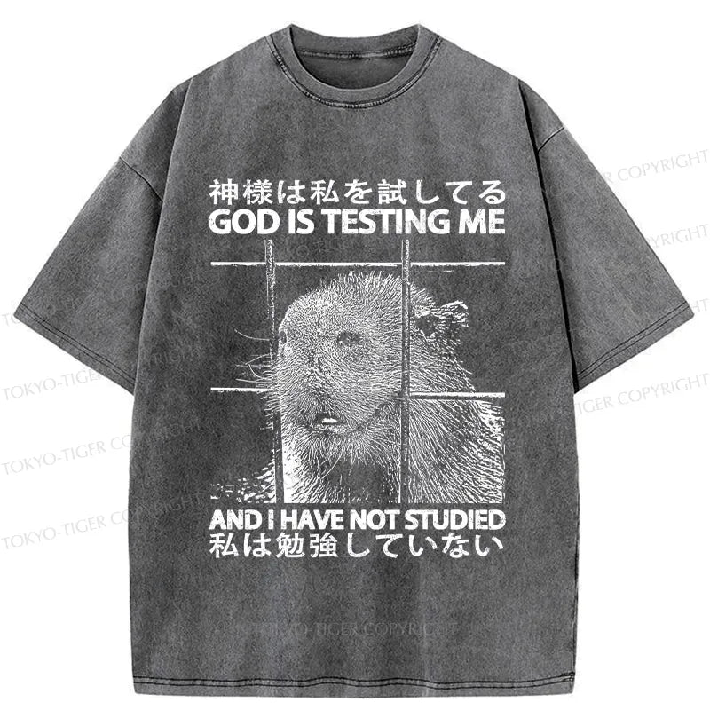 funny Kyoto lion god shirt
