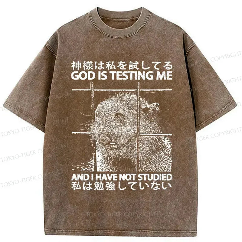 washed Japanese lion god t-shirt