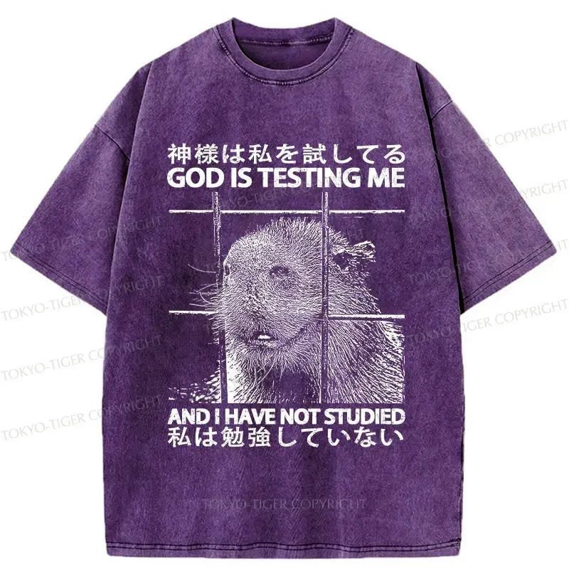 Kyoto-Lion God Is Testing Me Washed T-Shirt
