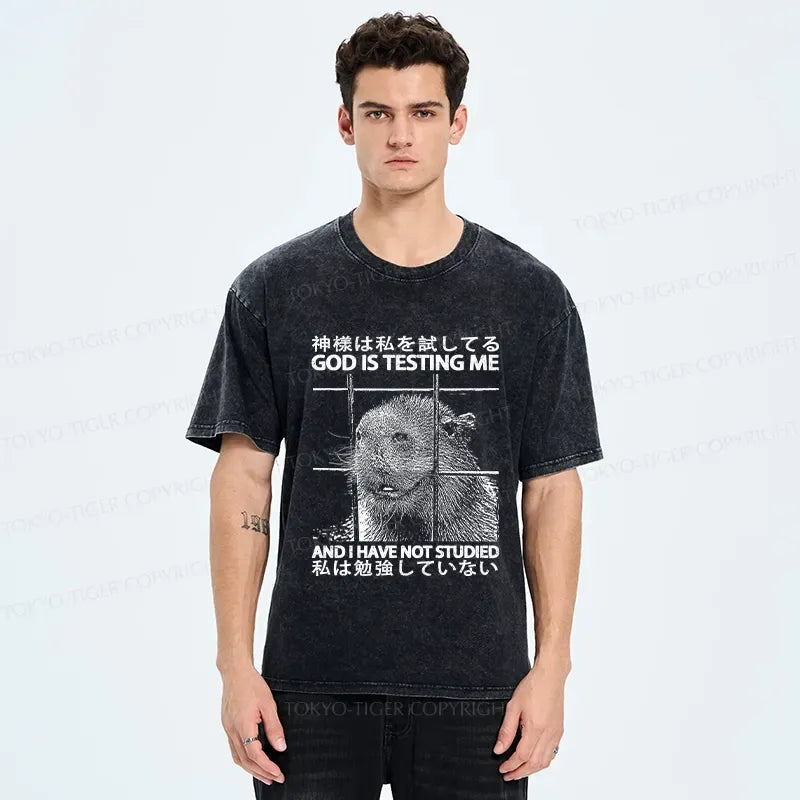 Kyoto-Lion God Is Testing Me Washed T-Shirt