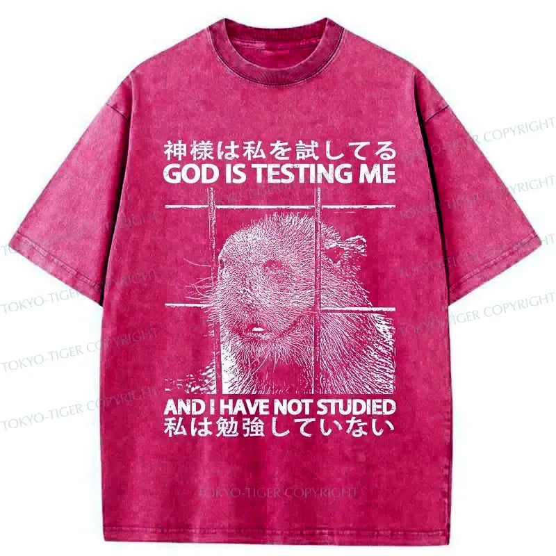 Kyoto-Lion God Is Testing Me Washed T-Shirt
