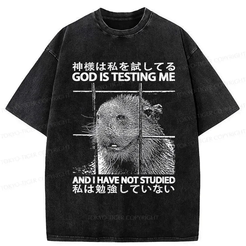 unisex cotton t-shirt for daily wear