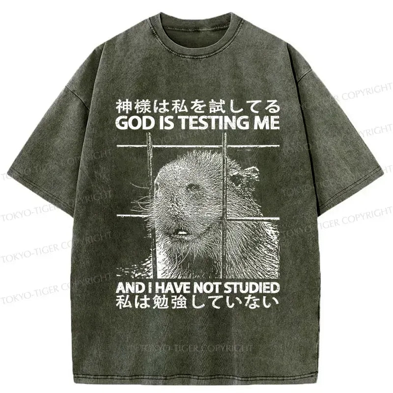 washed Japanese lion god t-shirt
