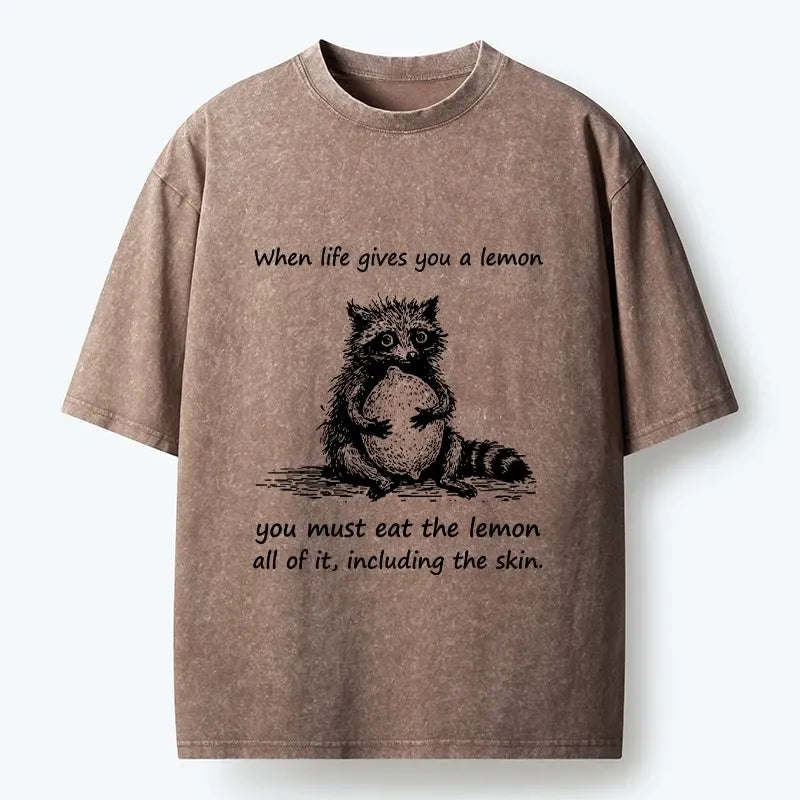 Funny Raccoon Meme Washed T-Shirt for Daily Wear