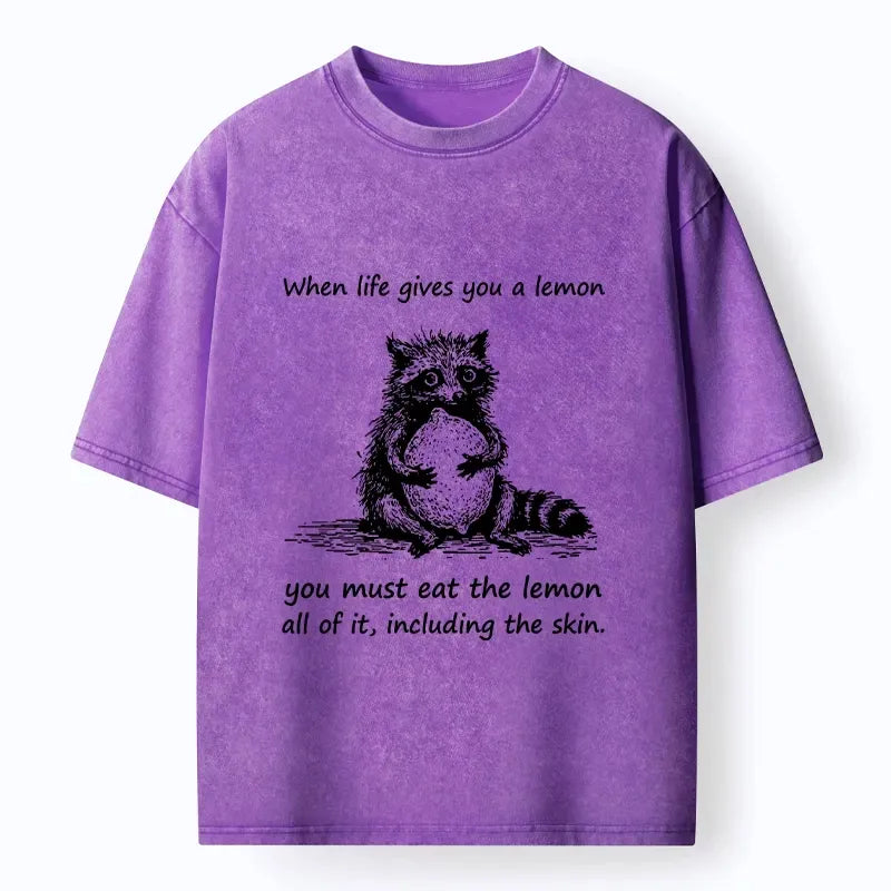 Funny Raccoon Meme Washed T-Shirt for Daily Wear