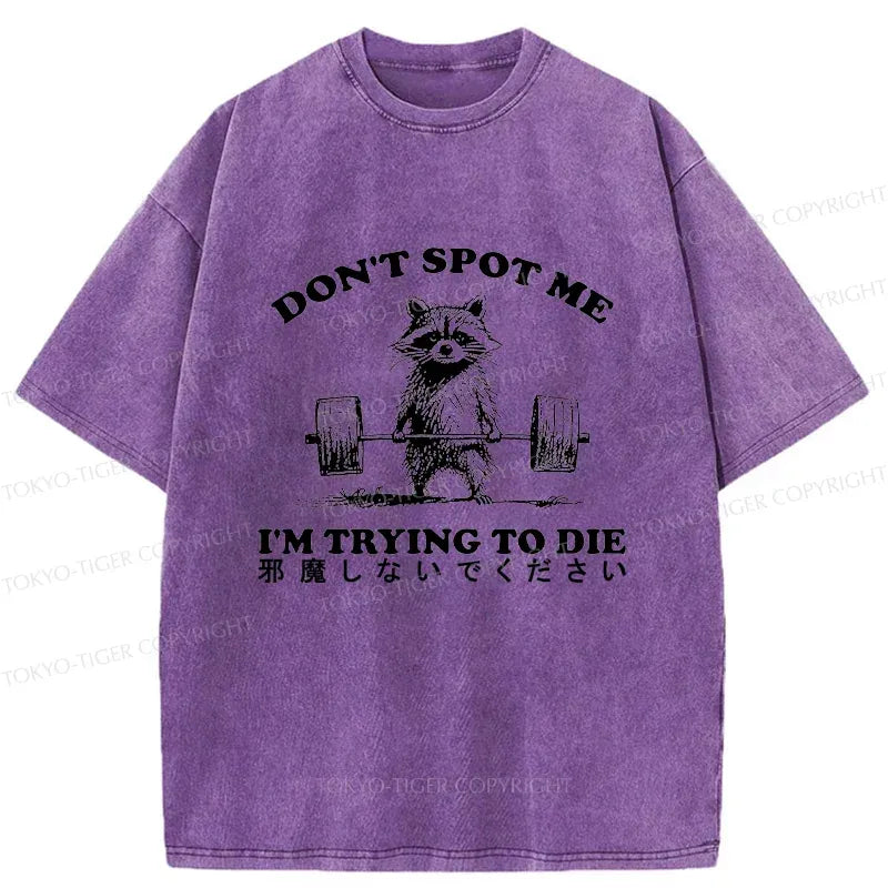 soft pre-shrunk raccoon tee on sale