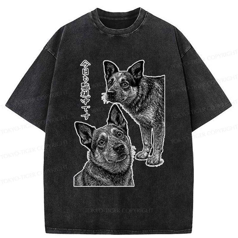 Washed Unisex Dog T-Shirt for Daily Wear