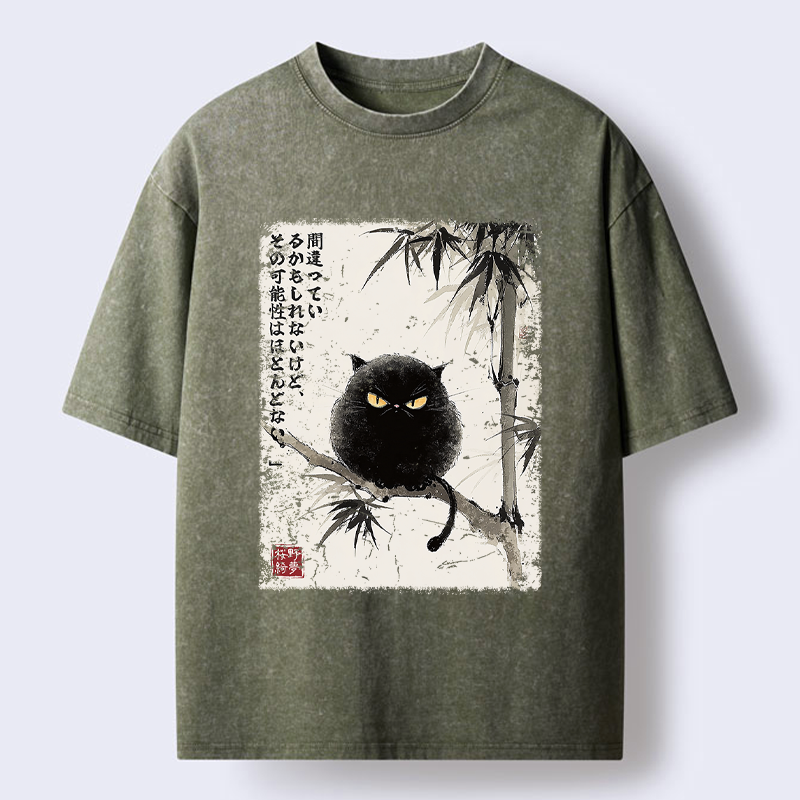 Funny Japanese washed t-shirt for street style