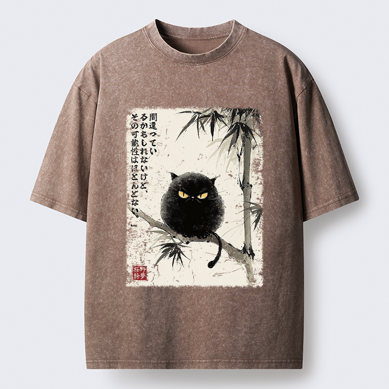 Funny Japanese washed t-shirt for street style