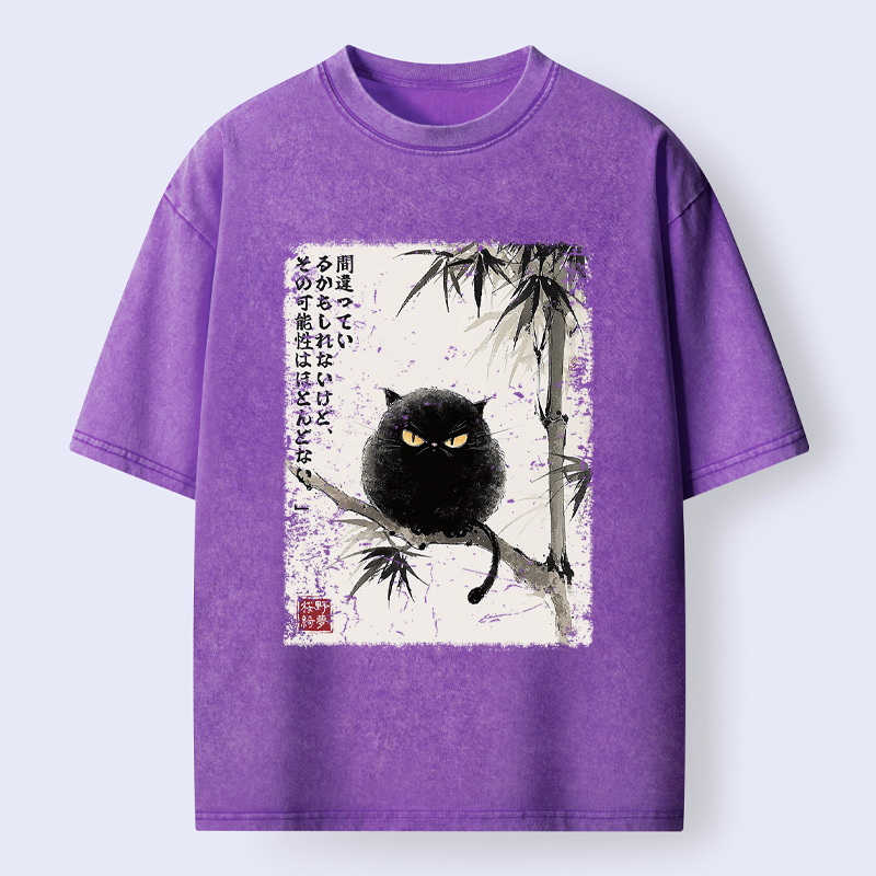 Kyoto-Lion I Could Be Wrong, But Unlikely Washed T-Shirt
