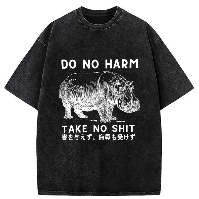 kyoto lion japanese washed t-shirt
