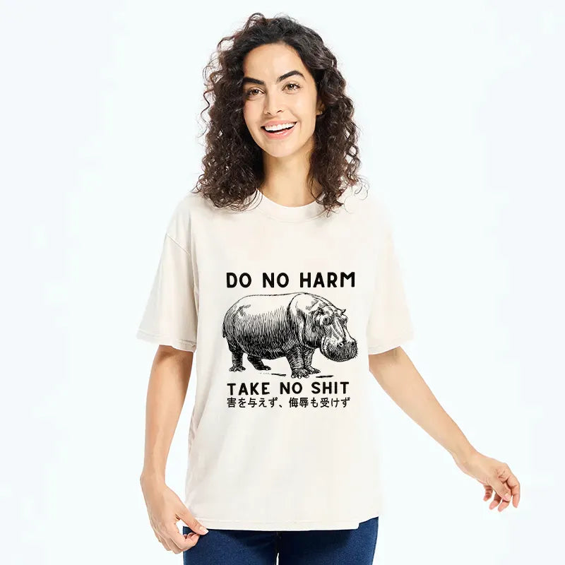 kyoto lion japanese washed t-shirt