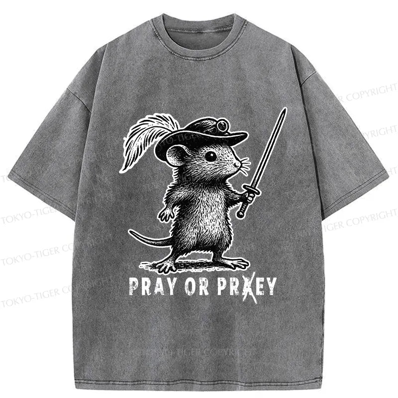 Kyoto-Lion Unisex Cotton Tee Best Seller