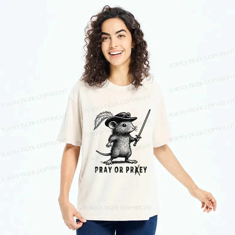 Washed Japanese Lion T-Shirt for Daily Wear