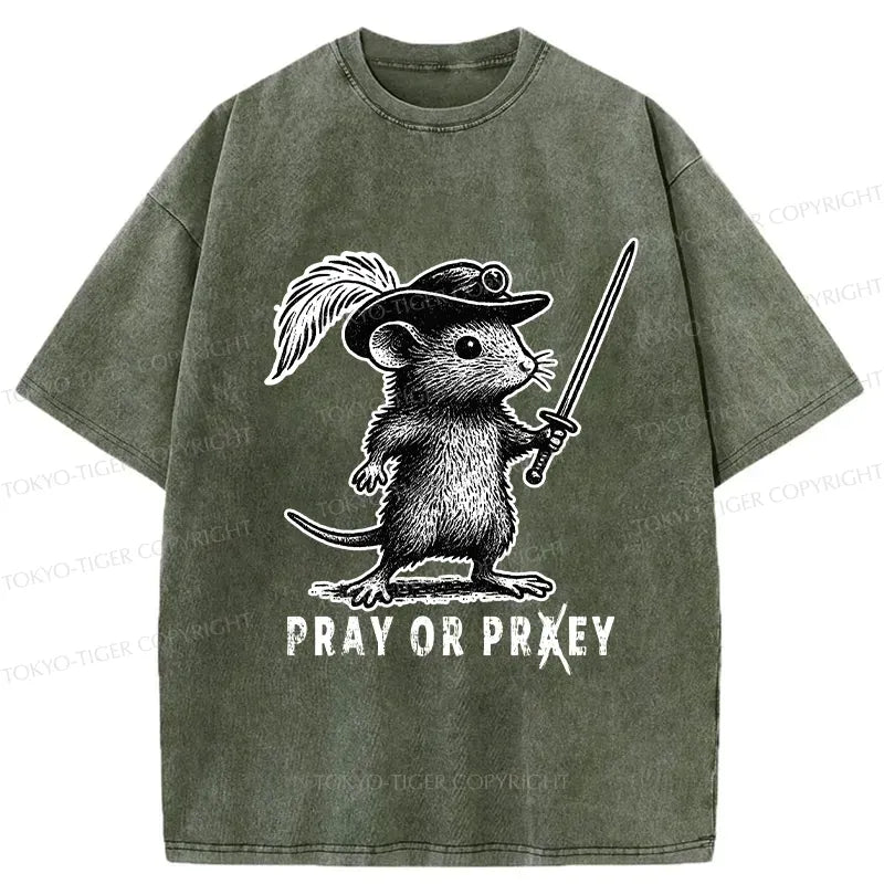 Washed Japanese Lion T-Shirt for Daily Wear
