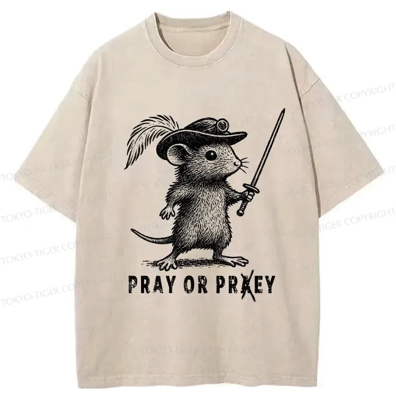 Washed Japanese Lion T-Shirt for Daily Wear